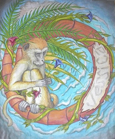 Tropical Monkey